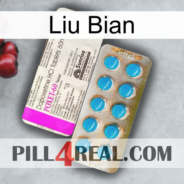 Liu Bian new07